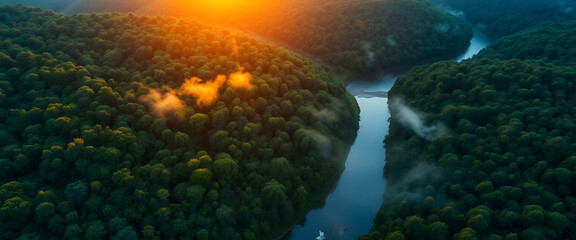 Aerial View of River Winding Through Forest