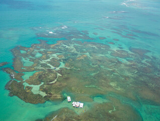 Coral reef in the natural pools of João Pessoa in Paraíba, Brazil.