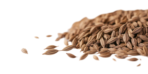 A neat and aesthetically pleasing arrangement of black cumin seeds scattered on a pure white background, showcasing their unique shape and color for culinary and decorative purposes.