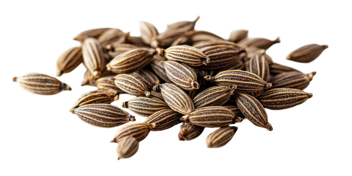 A visually striking composition of black cumin seeds neatly spread on a clean white surface, highlighting their rich color and form, ideal for culinary art and ingredient displays.
