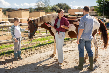 Young man, young woman and boy combing and stroking horse in paddock