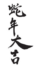 Snake YearChinese New Year Snake Design, Chinese Calligraphy translation: Snake year good fortune