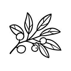 mistletoe vector white background