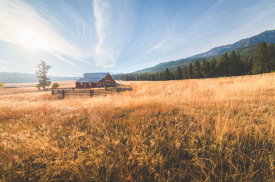 Old Country Barn And Field
