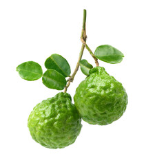 Bergamot fruit isolated on white background. Clipping path.
