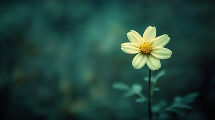 Single Yellow Flower Blooming in a Dark Green Bokeh Background : Generative AI