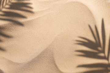 beach sand with soft shadows from palm leaves, top view