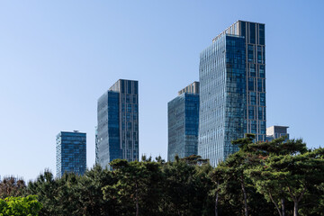 skyscrapers in the blue sky