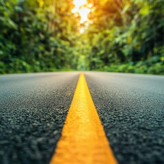 Fototapeta premium Scenic road through lush greenery under a golden sunset.