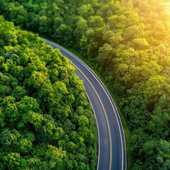 Aerial view of a winding road surrounded by lush green trees at sunset.