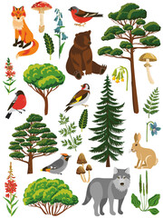 vector drawing set of forest animals, birds, trees and plants isolated at white background , cartoon style characters