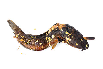 Simple fish menu. Delicious Thai street food that is available everywhere. Grilled catfish with bamboo skewers and sprinkle with fried garlic isolated on white background.