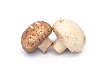 White and brown whole fresh champignon mushroom isolated on white background.