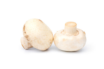 Whole fresh white champignon mushroom isolated on white background.