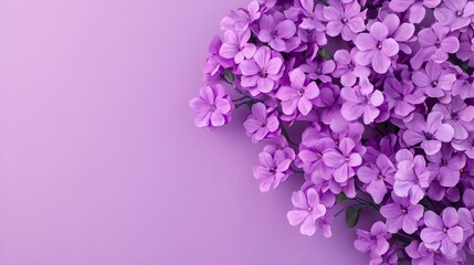 Fototapeta premium Purple Flowers Background