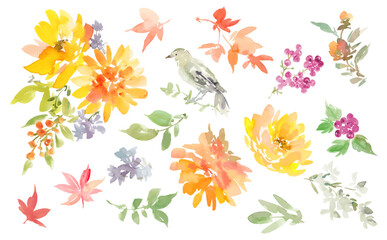 Vector clipart set of autumn bird and flowers painted in watercolor. Hand-drawn floral illustration set for backgrounds and patterns.