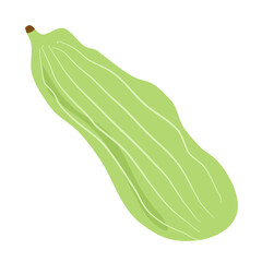 green cardamom  or Elettaria cardamomum