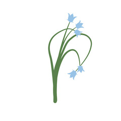 Bluebell flower vector