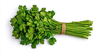 A photostock of a bushel of fresh herbs on a white background, aromatic and green.