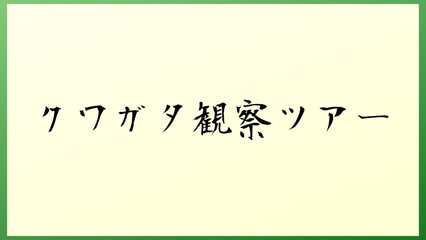 クワガタ観察ツアー 和風イラスト