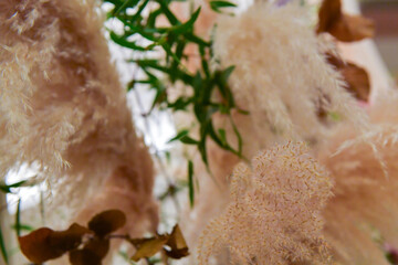 ブライダルイメージ,華麗で優美なとてもエレガントで素晴らしい結婚式