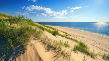 Scenic shot of the island wind-swept dunes, contrasting the golden sands with the blue sky and green vegetation nearby. No people included.
