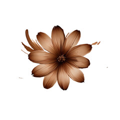 Flower color brush stroke on transparent background