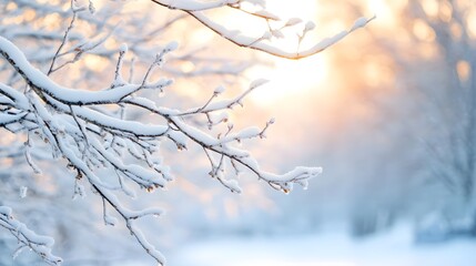 Obraz premium Snowy Branch Winter Sunset
