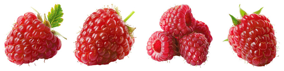 Fresh raspberries, bright red, juicy and ripe, white isolate background.