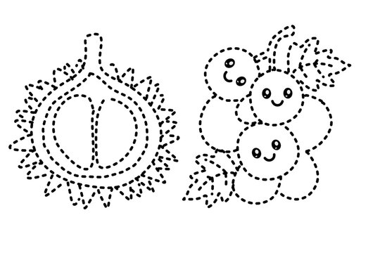 Fruit Tracing Line for Pre School Children. Handwriting Learning Education