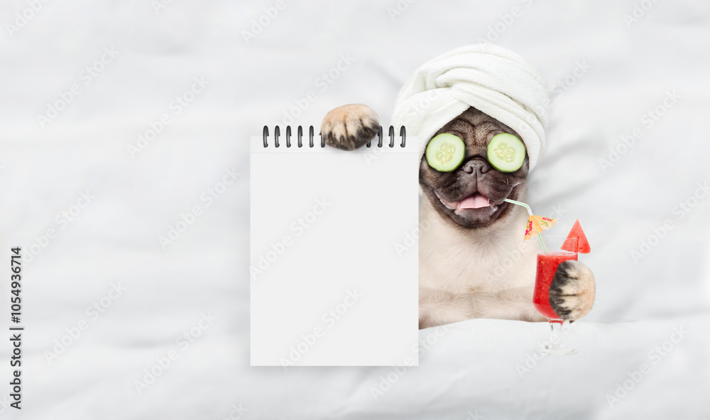 Fototapete Funny Pug puppy with towel on it head,with cream on it face and a pieces of cucumber on it eyes holds watermelon cocktail and relaxing on the bed at beauty salon and showing empty list. Top down view