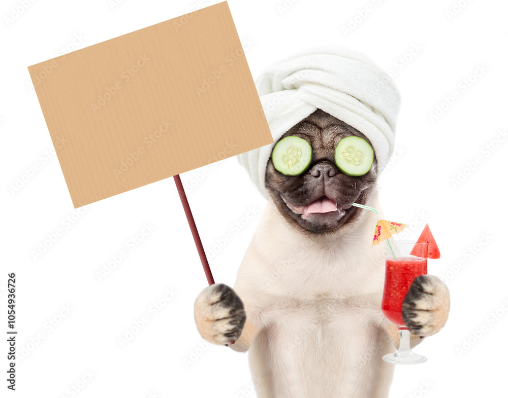 Poster funny pug puppy with towel on it head and with pieces of cucumber on it eyes drinks watermelon cockt