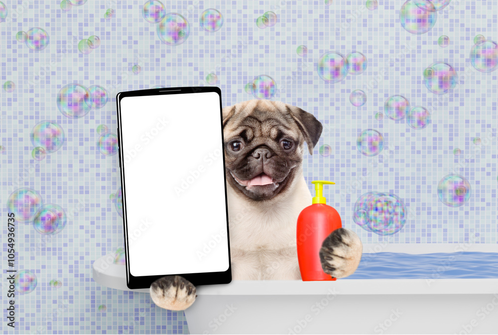 Aufkleber funny pug puppy takes the bath and shows big smartphone with white blank screen in it paw. empty spa