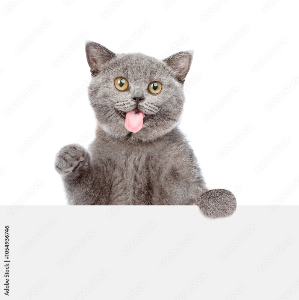 Poster funny cat looking above blank white banner and sticking out tongue licking invisible glass pane maki
