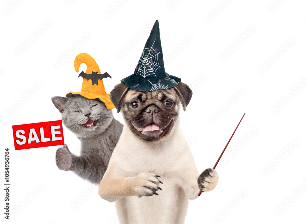 Poster happy cat and pug puppy wearing hats for halloween looks at camera. dog points away on empty space. 