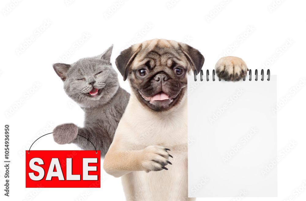 Poster happy cat and pug puppy look at camera. dog shows blank notepad. kitten shows signboard with labeled
