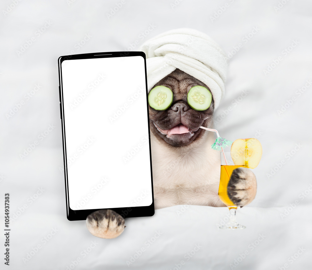 Aufkleber Happy Pug puppy with towel on it head and with a pieces of cucumber on it eyes relaxing on the bed at home and showing big smartphone with white screen in it paw. Top down view. Empty space for text