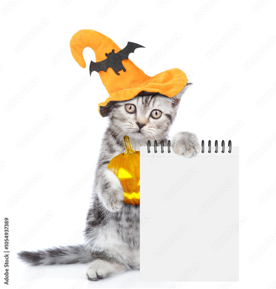 Aufkleber cute kitten with hat for halloween holds pumpkin and shows blank notepad. empty space for text. isol