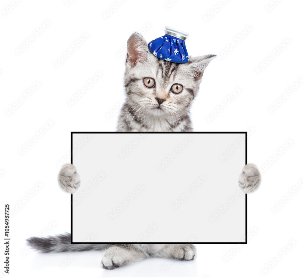 Poster sick kitten with ice bag or ice pack on his head holds blank white banner with empty space for text.