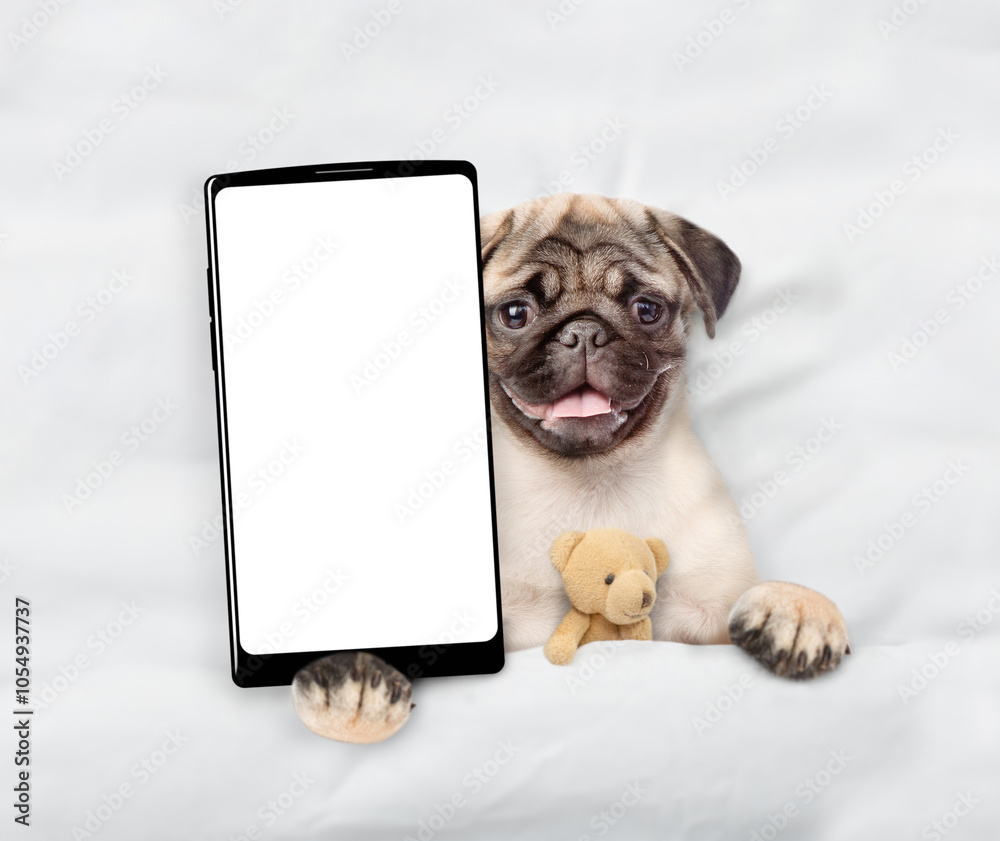 Poster Pug puppy lying with favorite toy beat on a bed at home and showing big smartphone with white blank screen in it paw. Top down view. Empty space for text