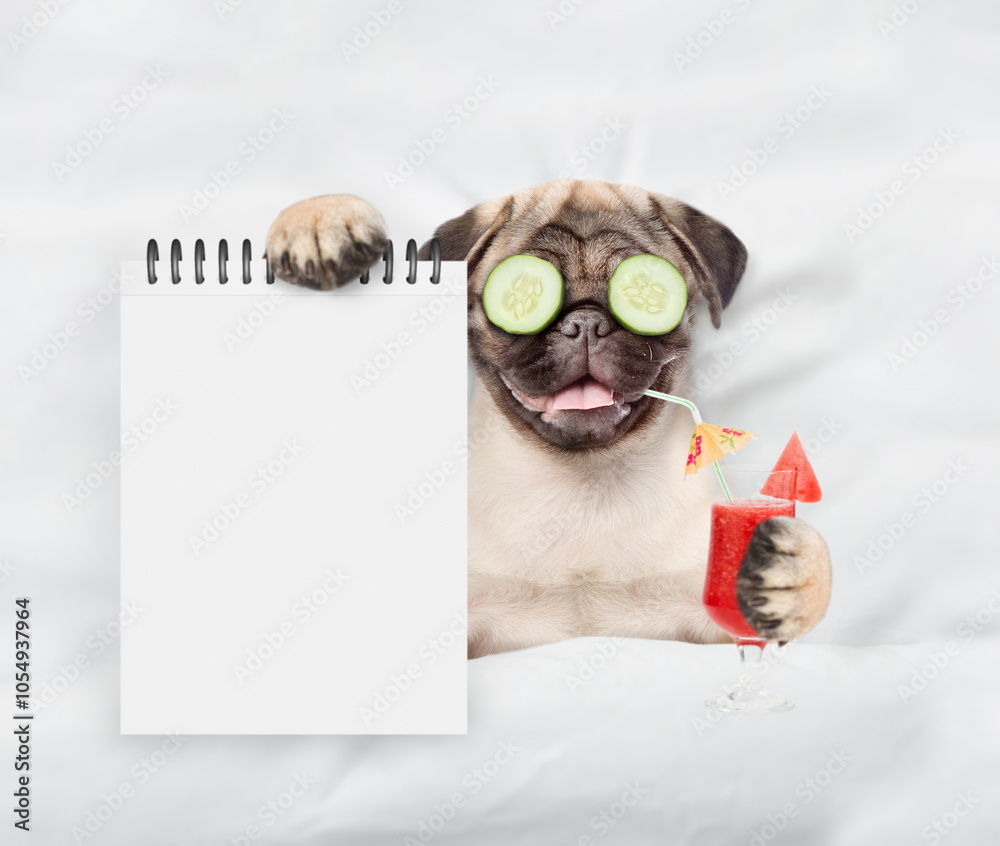 Fototapete funny pug puppy with pieces of cucumber on his eyes holds apple cocktail and relaxing on the bed at 