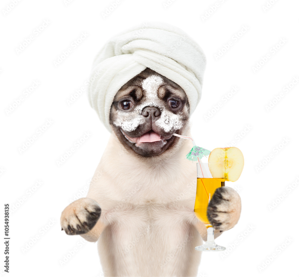 Poster funny mastiff puppy with towel on it head and with cream on his face and cream on his face holds tro