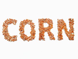 Corn writing from pile of dry grain corn on white background 