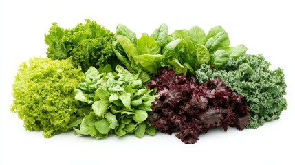 A vibrant array of hydroponic vegetables including lettuce, kale, and basil, showcasing the benefits of modern, soil-less farming, isolated on a white background