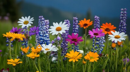 Obraz premium Vibrant Blooming Wildflowers in Natural Landscape