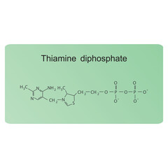 Obraz premium Thiamine diphosphate skeletal structure diagram.Vitamin B1 compound molecule scientific illustration.