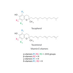 Diagram of Vitamin E vitamers - Tocopherol and Tocotrienol skeletal structure, chemical diagram.