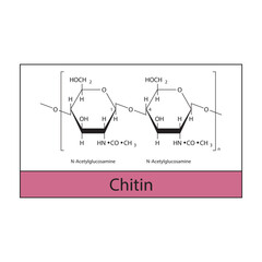 Chitin skeletal structure diagram.Polysaccharide&nbsp; compound molecule scientific illustration.