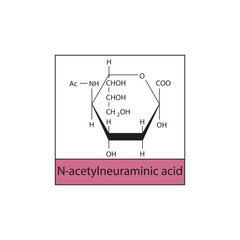 N-acetylneuraminic skeletal structure diagram.Sialic acid compound molecule scientific illustration.