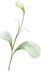 Naklejka premium Watercolor Leaves Berries Elements